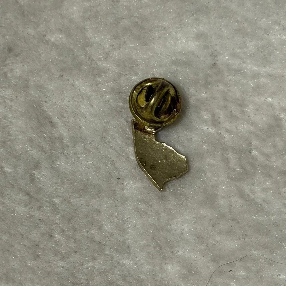New Jersey NJ and You Gold Tone Vintage Lapel Pin F26